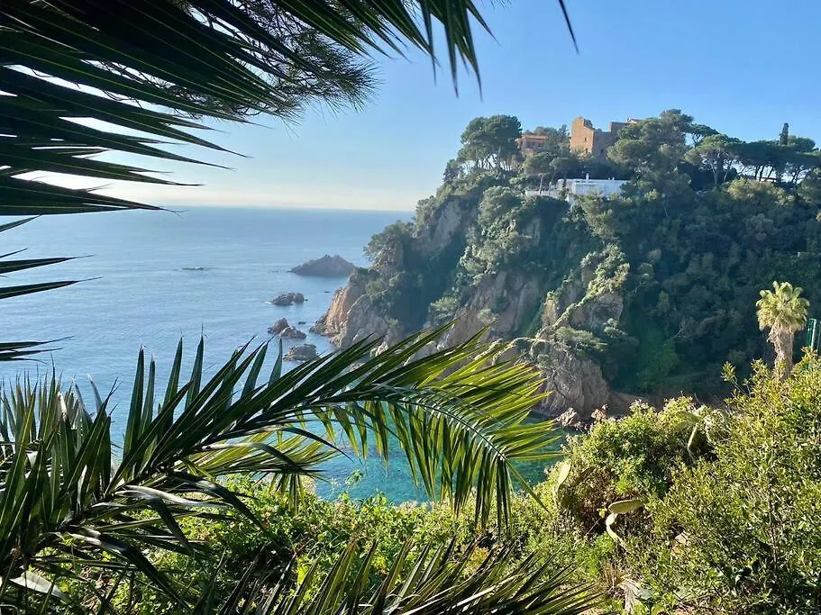 Apartamento Alma Blanes