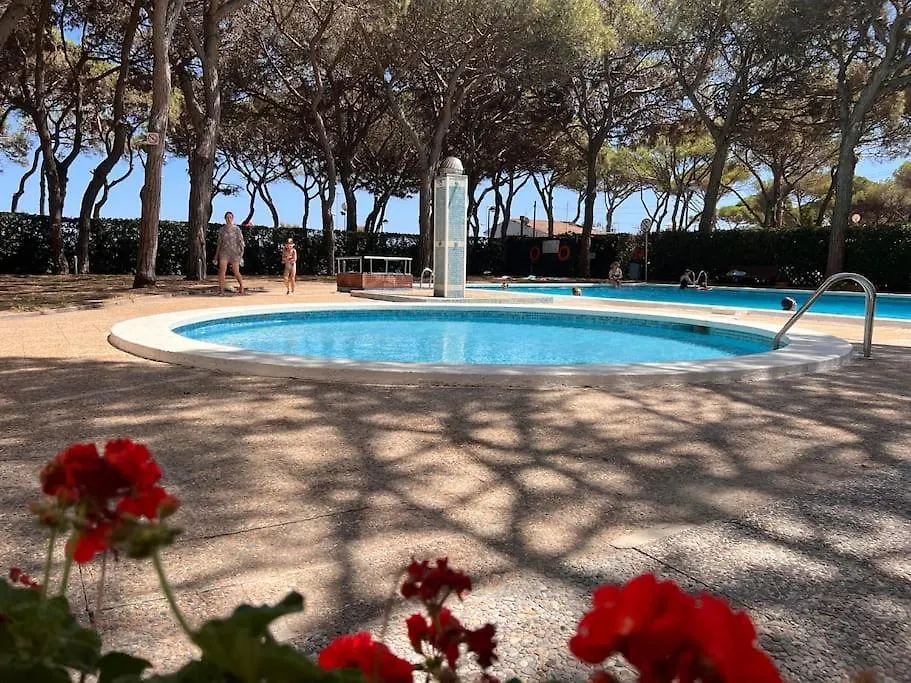 Daire Apartamento Alma Blanes