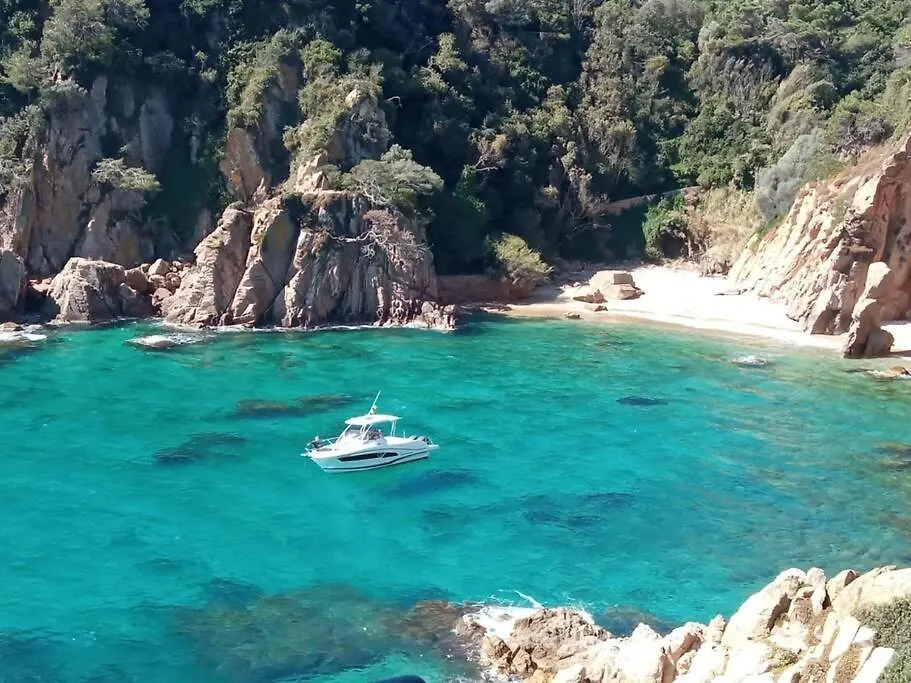Apartamento Alma Blanes Lägenhet
