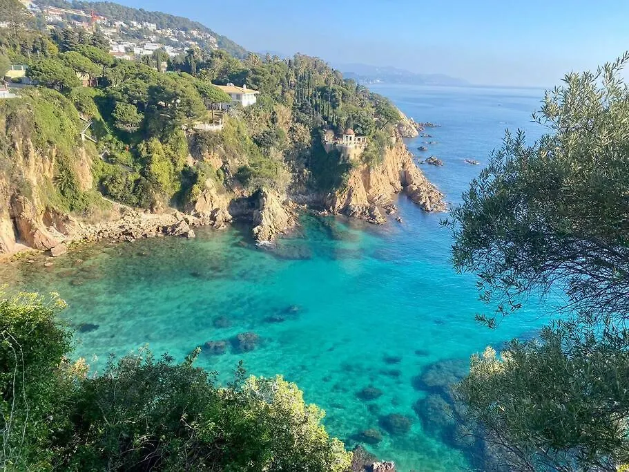 Apartamento Alma Blanes
